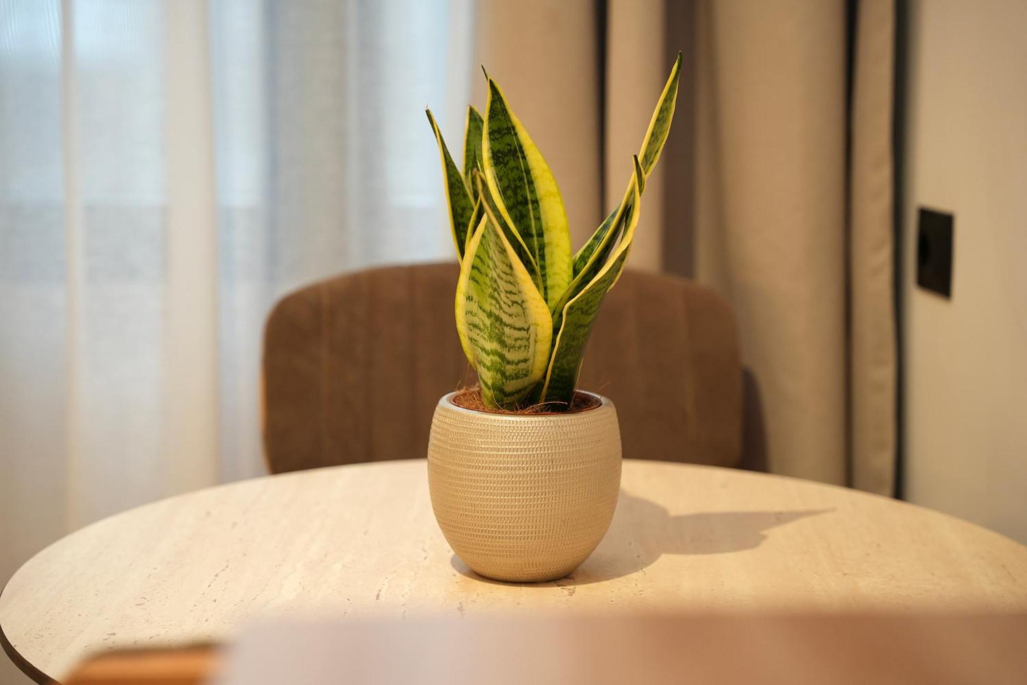 Nea Deluxe Apart-Hotel Tiran Dış mekan fotoğraf